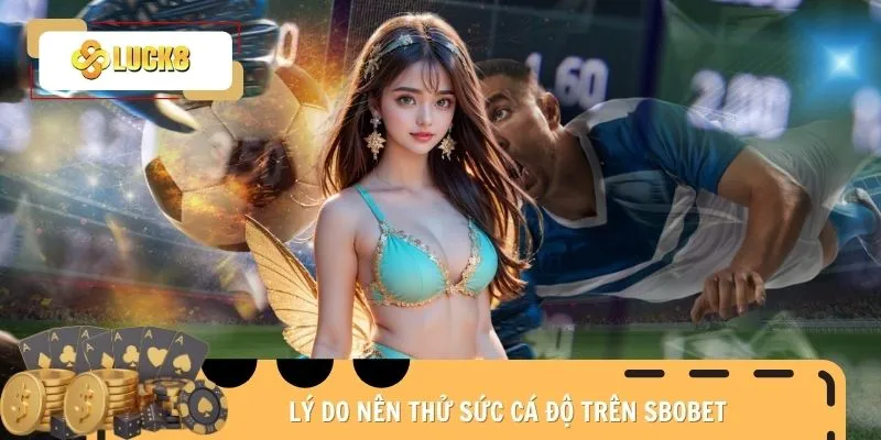 sbobet-ly-do